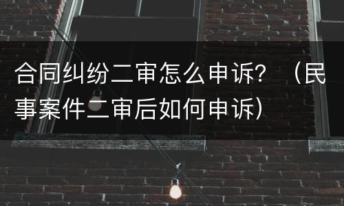 合同纠纷二审怎么申诉？（民事案件二审后如何申诉）