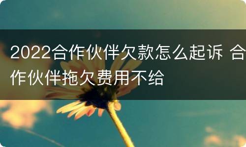 2022合作伙伴欠款怎么起诉 合作伙伴拖欠费用不给