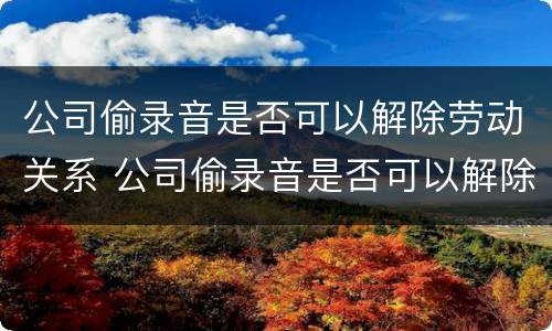 公司偷录音是否可以解除劳动关系 公司偷录音是否可以解除劳动关系呢
