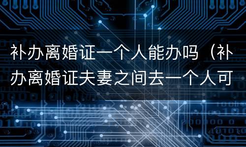 补办离婚证一个人能办吗（补办离婚证夫妻之间去一个人可以办理吗?）