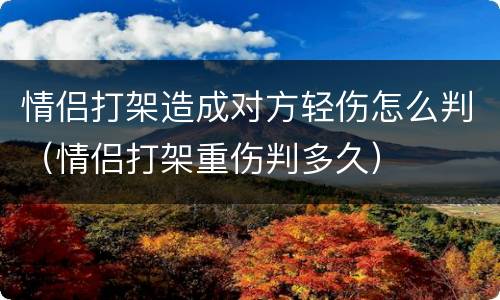 情侣打架造成对方轻伤怎么判（情侣打架重伤判多久）