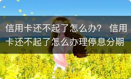 信用卡还不起了怎么办？ 信用卡还不起了怎么办理停息分期