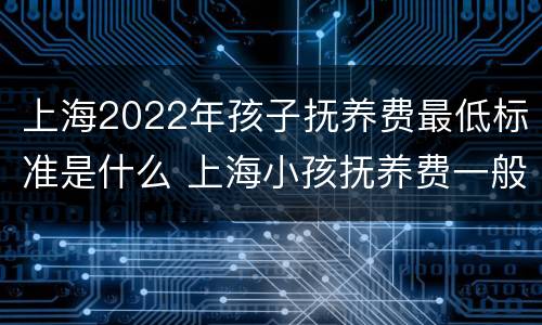 上海2022年孩子抚养费最低标准是什么 上海小孩抚养费一般在多少2019