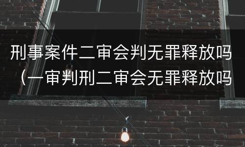刑事案件二审会判无罪释放吗（一审判刑二审会无罪释放吗）