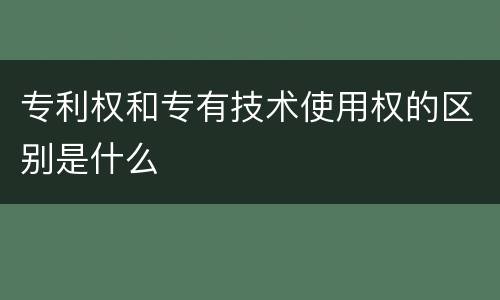 专利权和专有技术使用权的区别是什么