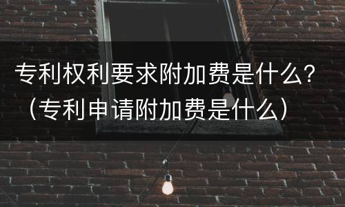 专利权利要求附加费是什么？（专利申请附加费是什么）