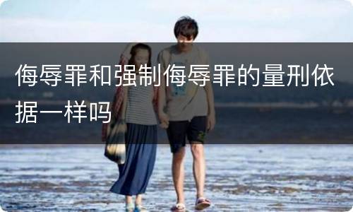 侮辱罪和强制侮辱罪的量刑依据一样吗