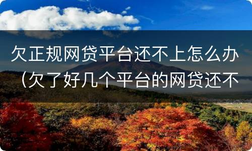 欠正规网贷平台还不上怎么办（欠了好几个平台的网贷还不上怎么办）