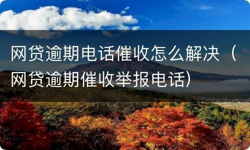 网贷逾期电话催收怎么解决（网贷逾期催收举报电话）