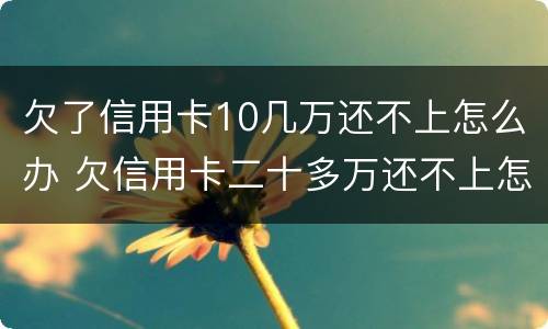 欠了信用卡10几万还不上怎么办 欠信用卡二十多万还不上怎么办