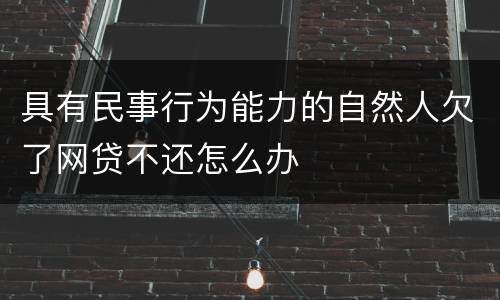 具有民事行为能力的自然人欠了网贷不还怎么办