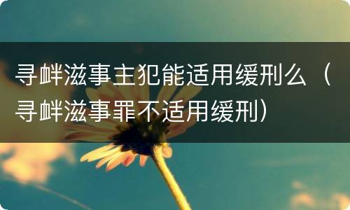寻衅滋事主犯能适用缓刑么（寻衅滋事罪不适用缓刑）