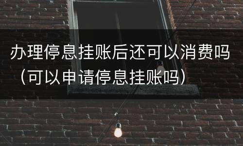 办理停息挂账后还可以消费吗（可以申请停息挂账吗）