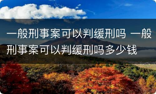 一般刑事案可以判缓刑吗 一般刑事案可以判缓刑吗多少钱