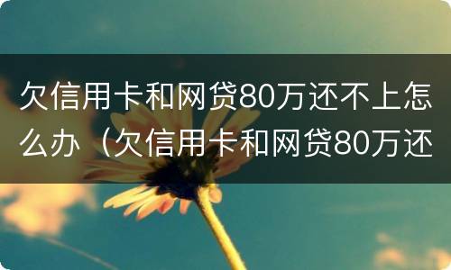 欠信用卡和网贷80万还不上怎么办（欠信用卡和网贷80万还不上怎么办呢）