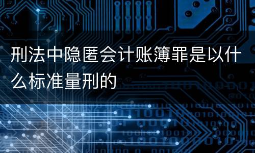 刑法中隐匿会计账簿罪是以什么标准量刑的