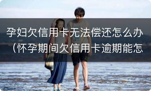 孕妇欠信用卡无法偿还怎么办（怀孕期间欠信用卡逾期能怎么样）