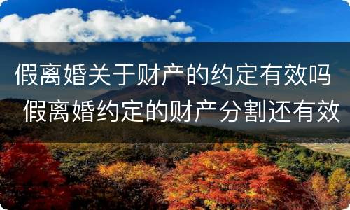假离婚关于财产的约定有效吗 假离婚约定的财产分割还有效吗