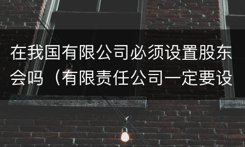 在我国有限公司必须设置股东会吗（有限责任公司一定要设立股东会吗）