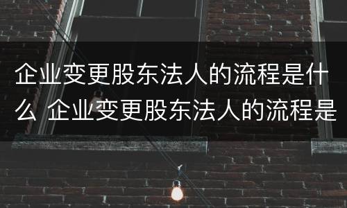 企业变更股东法人的流程是什么 企业变更股东法人的流程是什么样的