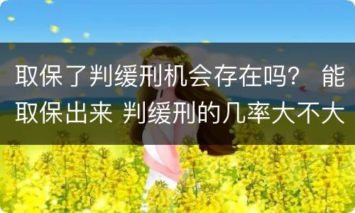 取保了判缓刑机会存在吗？ 能取保出来 判缓刑的几率大不大