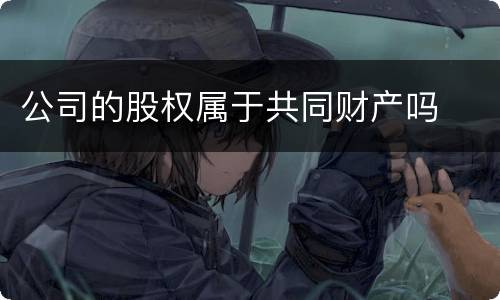 公司的股权属于共同财产吗