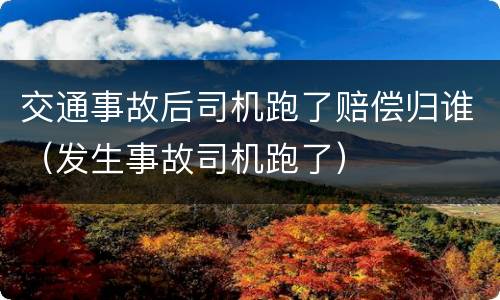 交通事故后司机跑了赔偿归谁（发生事故司机跑了）