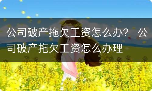 公司破产拖欠工资怎么办？ 公司破产拖欠工资怎么办理