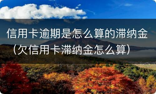 信用卡逾期是怎么算的滞纳金（欠信用卡滞纳金怎么算）
