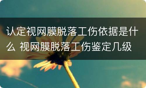 认定视网膜脱落工伤依据是什么 视网膜脱落工伤鉴定几级