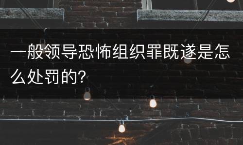 一般领导恐怖组织罪既遂是怎么处罚的？