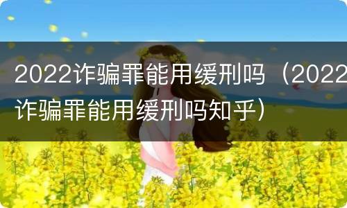 2022诈骗罪能用缓刑吗（2022诈骗罪能用缓刑吗知乎）