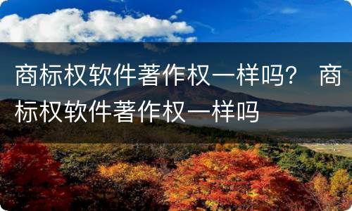 商标权软件著作权一样吗？ 商标权软件著作权一样吗
