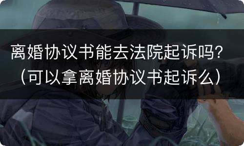 离婚协议书能去法院起诉吗？（可以拿离婚协议书起诉么）