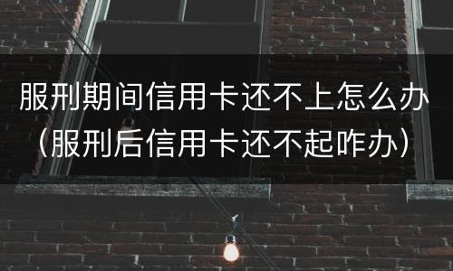 服刑期间信用卡还不上怎么办（服刑后信用卡还不起咋办）