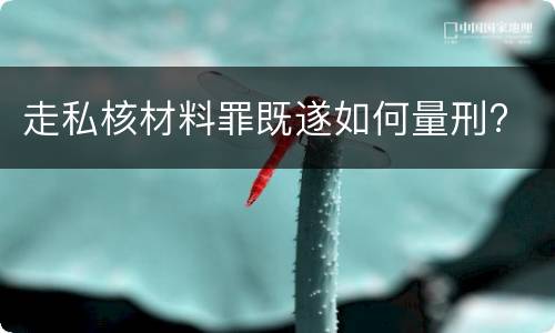 走私核材料罪既遂如何量刑?