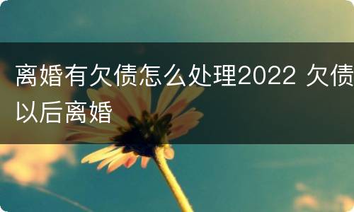 离婚有欠债怎么处理2022 欠债以后离婚