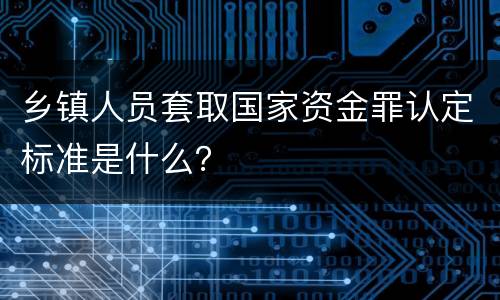 乡镇人员套取国家资金罪认定标准是什么？