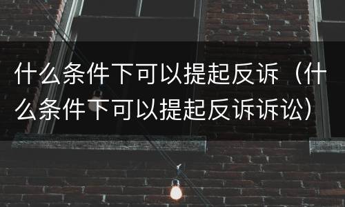 什么条件下可以提起反诉（什么条件下可以提起反诉诉讼）
