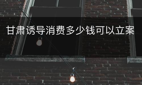 甘肃诱导消费多少钱可以立案