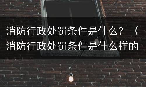 消防行政处罚条件是什么？（消防行政处罚条件是什么样的）