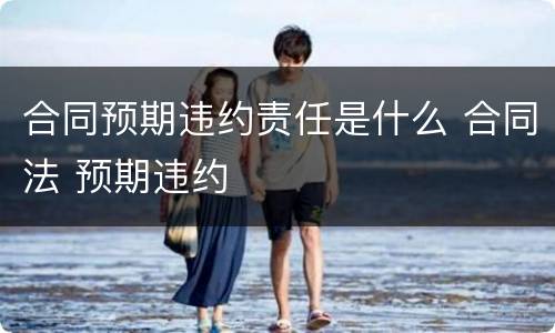 合同预期违约责任是什么 合同法 预期违约