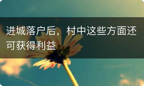 进城落户后，村中这些方面还可获得利益