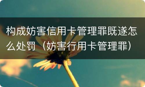 构成妨害信用卡管理罪既遂怎么处罚（妨害行用卡管理罪）