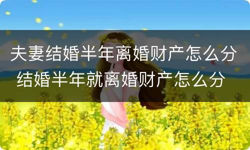 夫妻结婚半年离婚财产怎么分 结婚半年就离婚财产怎么分