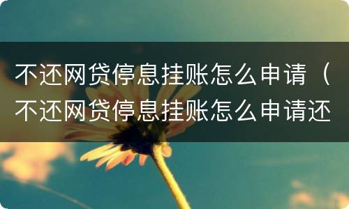 不还网贷停息挂账怎么申请（不还网贷停息挂账怎么申请还款）