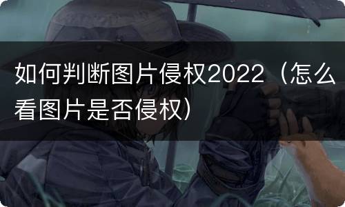 如何判断图片侵权2022（怎么看图片是否侵权）