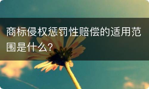 商标侵权惩罚性赔偿的适用范围是什么？