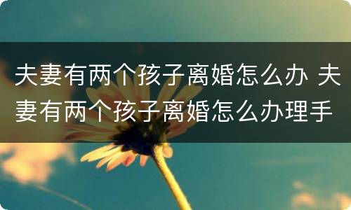 夫妻有两个孩子离婚怎么办 夫妻有两个孩子离婚怎么办理手续
