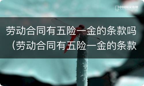 劳动合同有五险一金的条款吗（劳动合同有五险一金的条款吗有效吗）